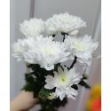Хризантема кустовая белая