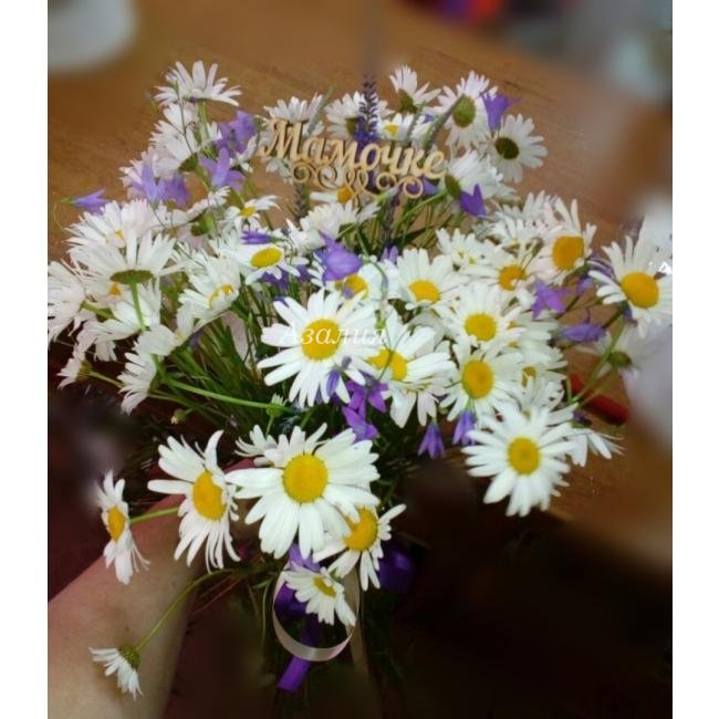 Ромашка крупная (нивяник)