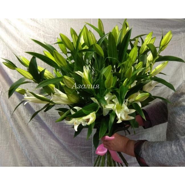 Букет &laquo;Утренний снег&raquo;