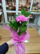 Букет &laquo;Единственной&raquo; 1