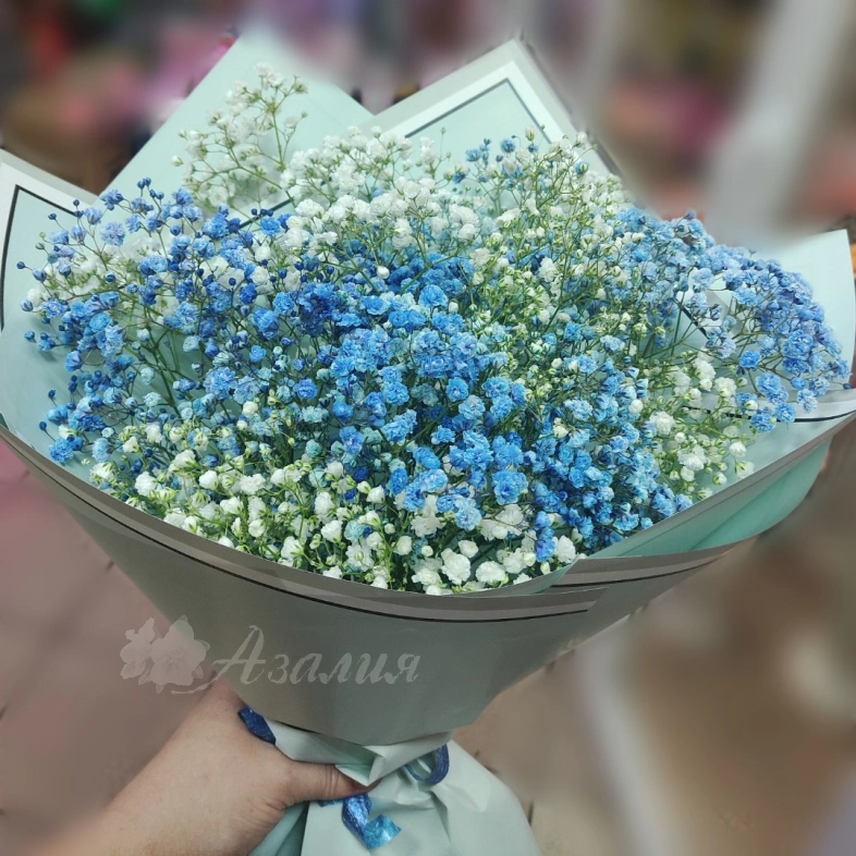 Гипсофила белая и синяя