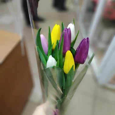 Весенний поцелуй