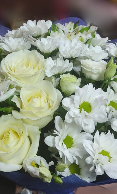 Улыбка Снежной Королевы