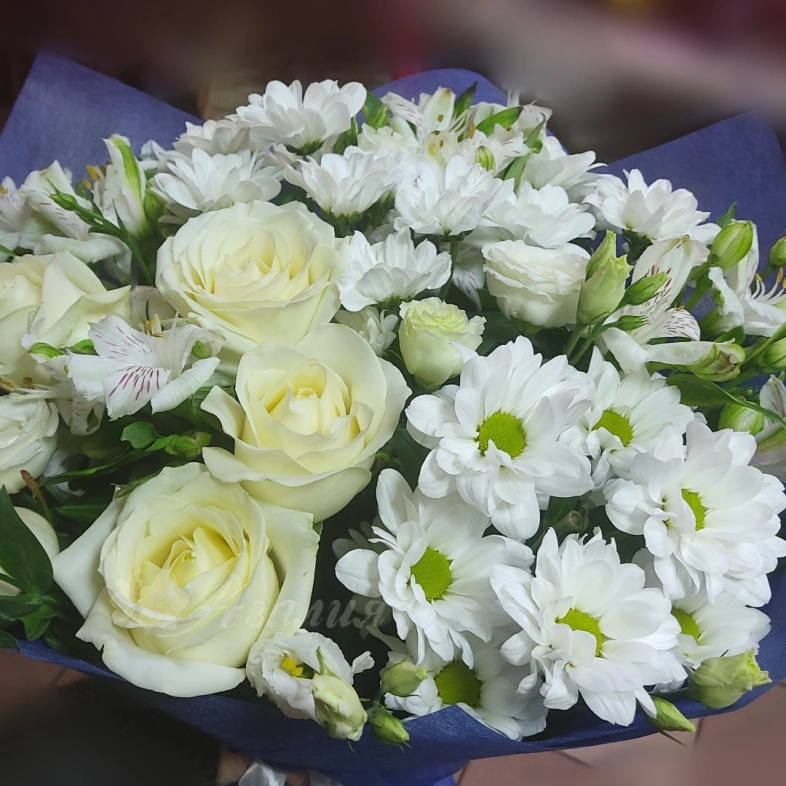 Улыбка Снежной Королевы