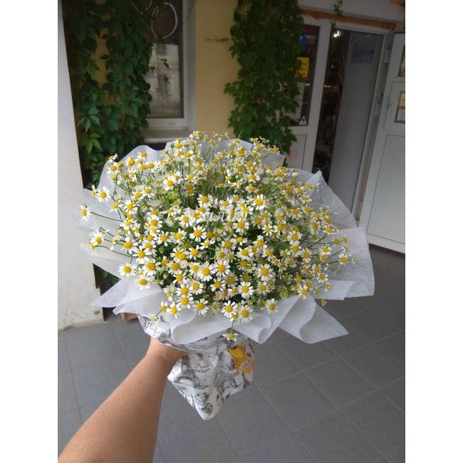 Ромашковое настроение