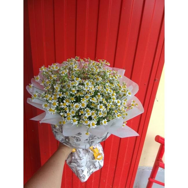 Ромашковое настроение