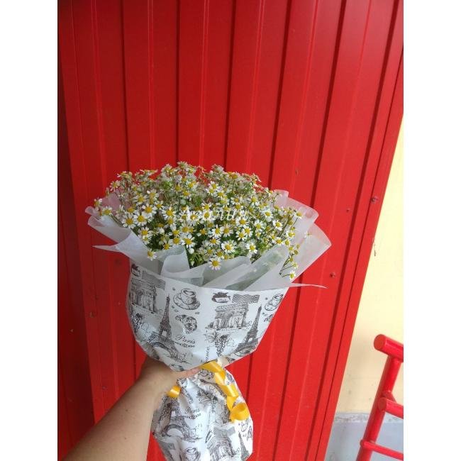 Ромашковое настроение