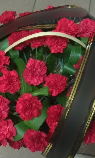 Корзина 60 гвоздик