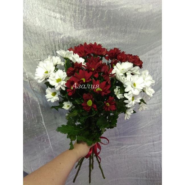 Монобукет &laquo;Ромашки белые и бордовые&raquo;