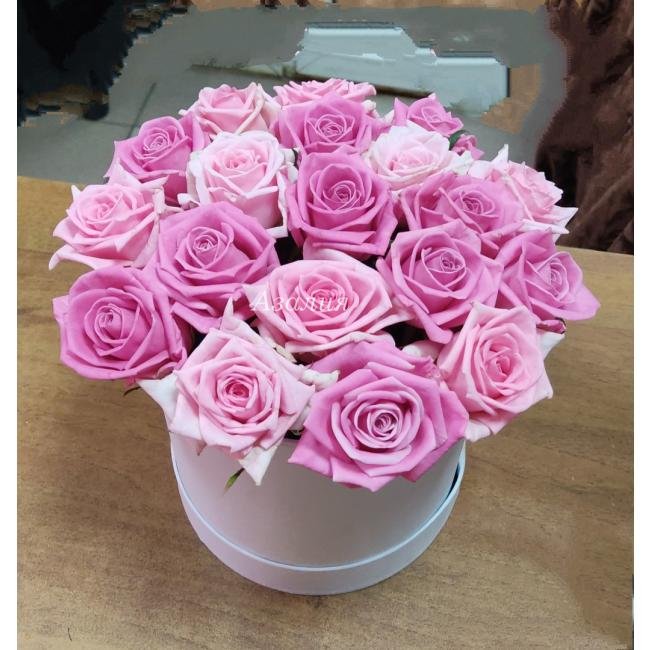 Композиция &laquo;Нежные мотивы&raquo;