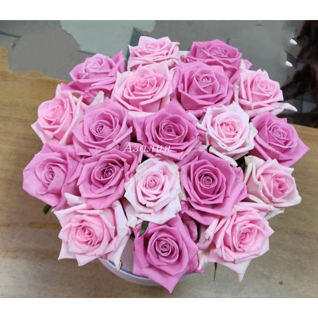 Композиция &laquo;Нежные мотивы&raquo;