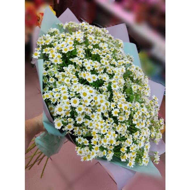 Ромашковое чудо