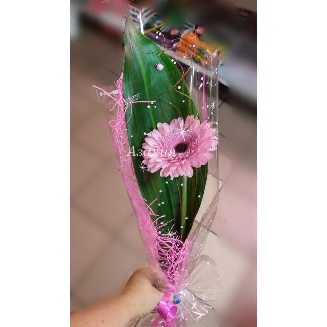 Гербера на листе