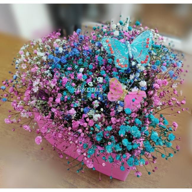 Бабочки на радуге