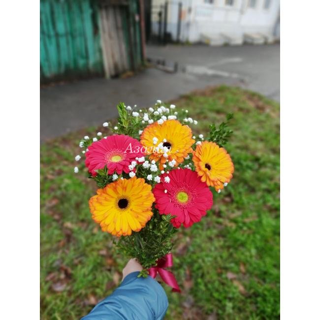 5 гербер с зеленью