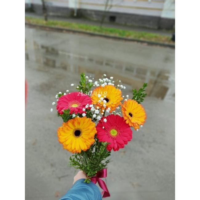 5 гербер с зеленью