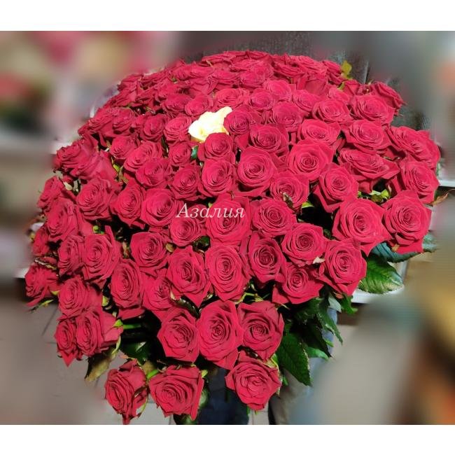 100 красных роз и 1 белая