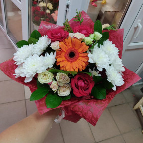 IMG-20231010-WA0005-min