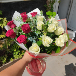 IMG-20231010-WA0008-min