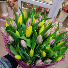 IMG-20231010-WA0009-min