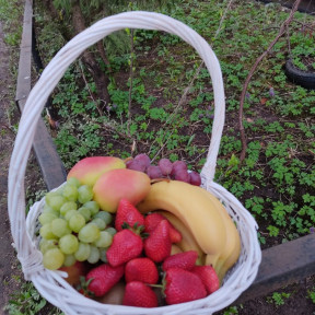 IMG-20231010-WA0011-min