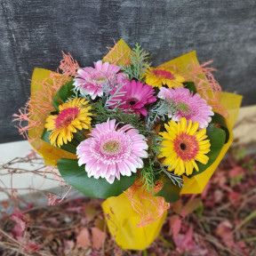 Изображение WhatsApp 2023-10-04 в 16.41.04_4a7e441a-min