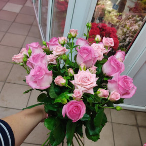 Изображение WhatsApp 2023-10-04 в 16.41.07_22c9ae57-min