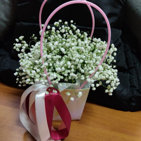 Изображение WhatsApp 2023-10-04 в 16.41.11_ac77f3ef-min