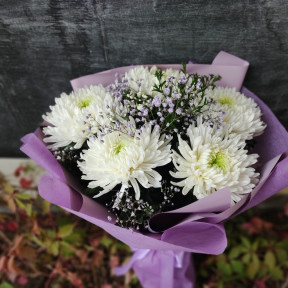 Изображение WhatsApp 2023-10-04 в 16.41.11_fa85ba26-min