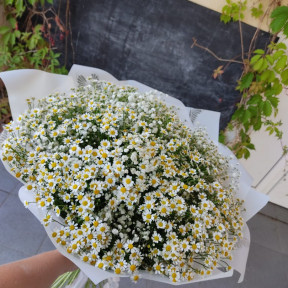 Изображение WhatsApp 2023-10-04 в 16.41.18_a7685c90-min