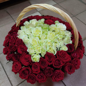 Изображение WhatsApp 2023-10-04 в 16.41.19_1c3af7ea-min