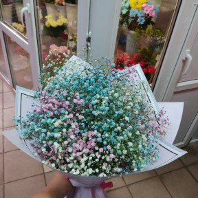 Изображение WhatsApp 2023-10-04 в 16.41.19_459c699e-min