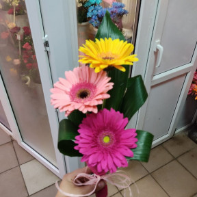 Изображение WhatsApp 2023-10-04 в 16.41.22_182e9d51-min