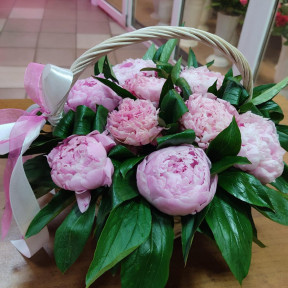 Изображение WhatsApp 2023-10-04 в 16.41.22_d68a8a87-min