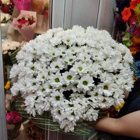 Изображение WhatsApp 2023-10-04 в 16.41.23_f1c7e070-min