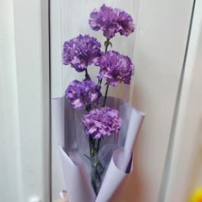 photo_2026-02-06_16-05-30