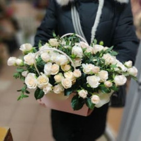 photo_2026-02-06_16-05-39