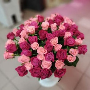 photo_2026-02-06_16-05-44