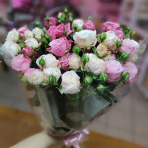 photo_2026-02-06_16-05-55