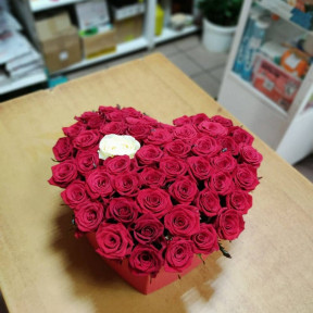 WhatsApp Image 2021-01-30 at 03.44.16 (1)-min