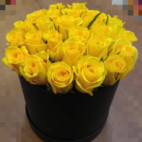 WhatsApp Image 2021-01-30 at 03.44.19 (1)-min