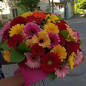 WhatsApp Image 2021-01-30 at 03.44.19-min