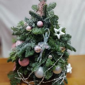 photo_2025-12-18_17-33-03